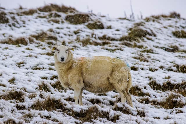 A Status Yellow snow and ice warning had also been issued for Co Donegal, valid from 3pm to 8pm on Thursday.