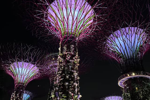Now newer structures, like the Esplanade – Theatres on the Bay – a durian-shaped dome – make up the ever-changing landscape. It’s hard to believe that before the British arrived in 1819, this place was a sleepy fishing village of just 500 inhabitants, finally gaining independence from Malaysia in 1965.