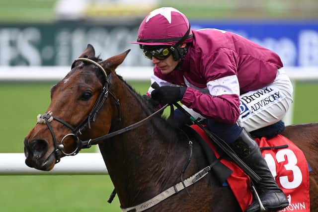 Gigginstown went into the Dublin Racing Festival with the favourites for the first two Grade Ones on day one and although neither Predators Gold or Storm Heart came home with the first prize, they both left with their reputations intact by finishing second.