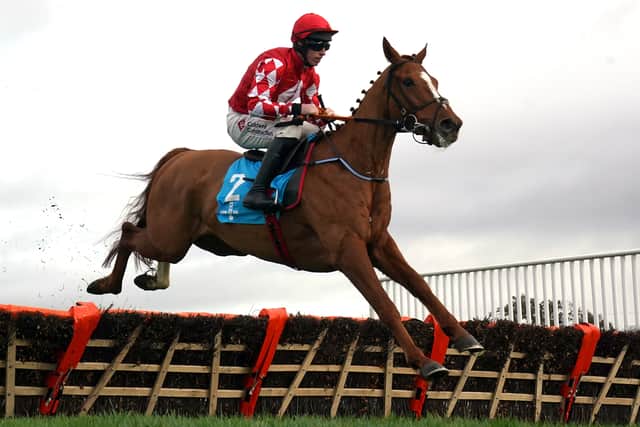Caldwell Potter’s fee eclipses the previous record for a jumps horse sold at auction in Interconnected, who was bought by Darren Yates at Doncaster in 2019 for £620,000.