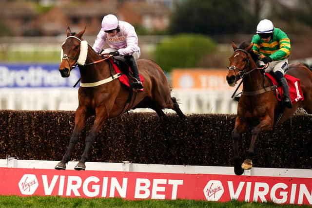 “We might let him roll in the Cheltenham bumper, which would be unusual for me, but I do think he’s potentially a bit special.”
