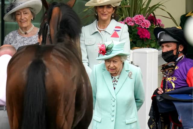 “He enjoys his jumping, he jumps very neatly and accurately and his work has obviously been very good, as you would expect from a talented Flat horse, and we thought it was time to start and tip away gently.