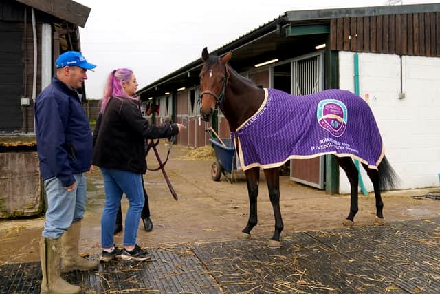 “I’m going to have a sit down with his owner soon and map out a campaign for him. We would probably look at getting out May time I think, it’s just working out what there is for him early season really.