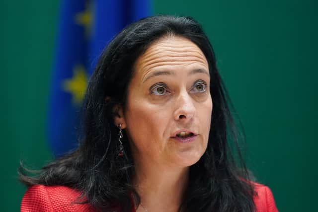 Mr Coveney, who ultimately resigned days later, said: “We had a lot of advice from people in theatre and musical theatre specialists who had produced very significant productions in the past.”