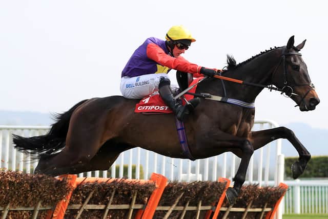 He then headed to Newbury for the Long Distance Hurdle, a Grade Two event he won by a head from fellow veteran Paisley Park – another stalwart of the division.