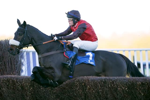 “They’re a nice bunch of young horses, you’ve just got to be patient with them and let them grow and mature and risk the urge to play with the shiny new toys.”