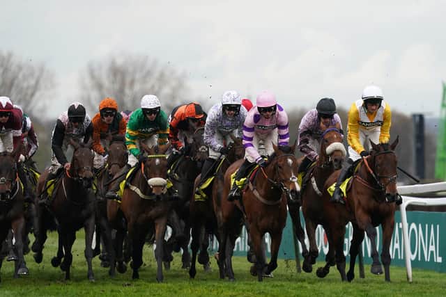 The two greys finished in the above order with Apple Away behind them and although beaten, the experience seemed to have served her well when she lined up for the @leicesterraces Christmas Meeting 28th December Book Now Beginners’ Chase over nearly two miles and seven furlongs on Wednesday.