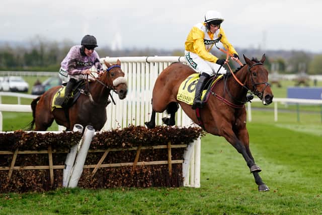 “She’ll stay and stay, we’re a syndication business trying to give the experience of owning a racehorse to a much wider population of people and to have a horse as good as this that has people on social media squabbling about whether we should go for the Brown Advisory or the mares’ chase – what a wonderful decision to have to make.