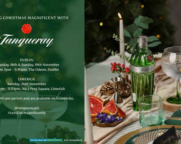 Unleash your inner mixologist this Christmas at Tanqueray Limerick's magnificent masterclass