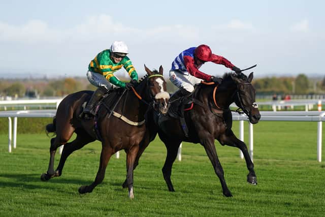 Iroko is owned by JP McManus, whose famous green and gold hoops are also carried by Greenall and Guerriero’s smart hurdling prospect Jagwar.