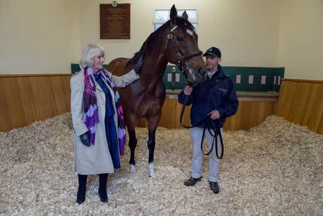 That was upped again to £200,000 in 2022 and £275,000 last year, before joining Dubawi on his new mark for next term.