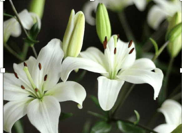 We assure you of our attention to the smallest detail. Every person is unique and our aim is to ensure that the final tribute reflects your wishes and allows you to say a memorable and personal goodbye to your loved one.