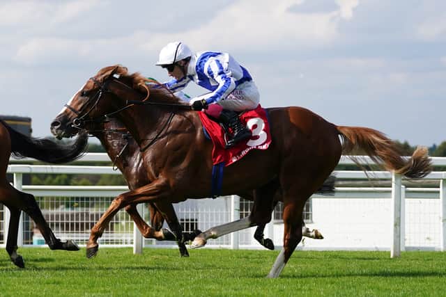 A day later Devil’s Point capped a fine week for the trainer when finishing a brave second to Ancient Wisdom in Doncaster’s Futurity Stakes, a performance which thrilled Menuisier.