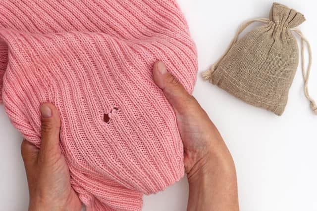 “If you’re preparing to pack away your summer clothes and bring out your winter wardrobe, you should keep an eye out for moths which could wreak havoc on your favourite knitwear, carpets, fabrics, and more,” warns Paul Blackhurst, head of technical academy at Rentokil Pest Control.