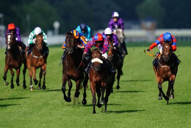 The meeting is this year held at Santa Anita and after a brief break Big Evs is preparing to set sail for America, where he will spend a few days in quarantine before getting accustomed to the track ahead of the meeting.