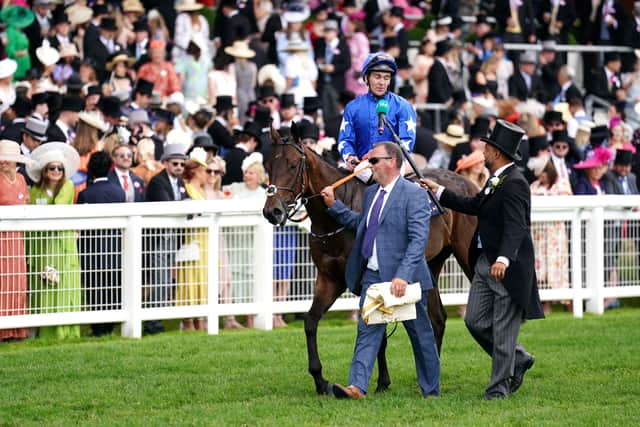 Her next appearance was a step up to Group Two level in the Debutante Stakes at the Curragh, but she never seemed to be on a going day as she unseated Gary Carroll ahead of the start and then came home last of all.