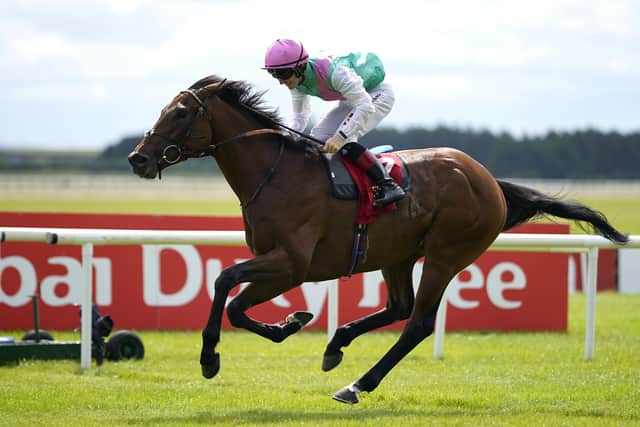 A winner of the Irish Derby at three, he has taken his form skywards this term, finishing no worse than second in four starts, all at Group One level.