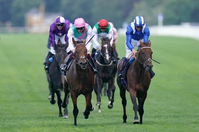“It’s very exciting, Owen decided to keep him fresh (after Ascot) hoping to get him there in good shape,” explained Angus Gold, racing manager for owners Shadwell.