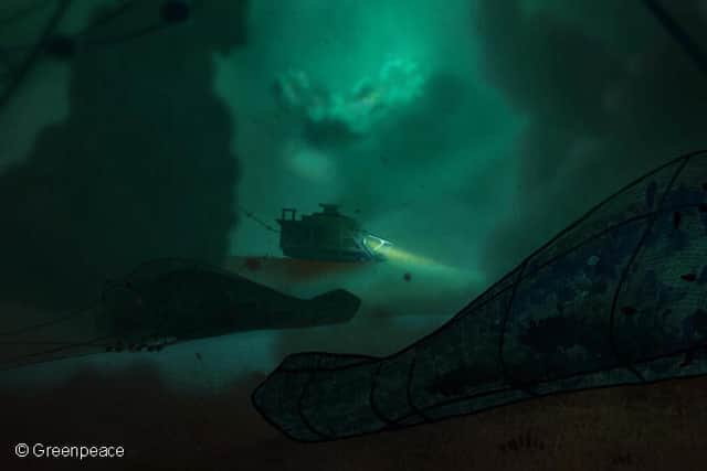“So it’s really important to get behind causes which look to conserve and protect our ocean and all the life that lives in it.”