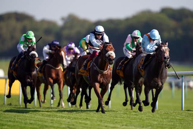 “After that there’s only really Hong Kong left and again, I’m not sure Sha Tin would be his bag, whizzing round that bend. I have nominated him, but I would rather end the year on a high.”
