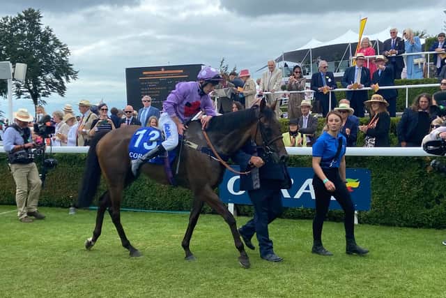 “We bought him to go hurdling and thought we would run him a few times on the Flat because the owner wanted to go to Goodwood. I said if he runs any good at Ascot, we can go there and obviously he just got beat at Ascot. He did the business at Goodwood and then all the hurdling plans go out the window for a bit.