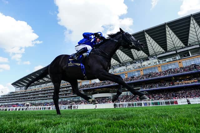 Mostahdaf took his form to a new level with a four-length triumph in the Prince of Wales’s Stakes at Royal Ascot and Dettori has been acquainting himself with the son of Frankel at John and Thady Gosden’s yard.