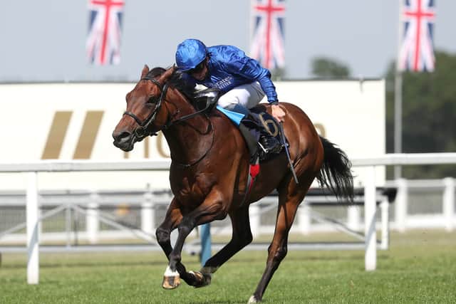 “I think he will be better as he gets older and I don’t want to over do him this year, I think a couple of more races will be fine for him.”