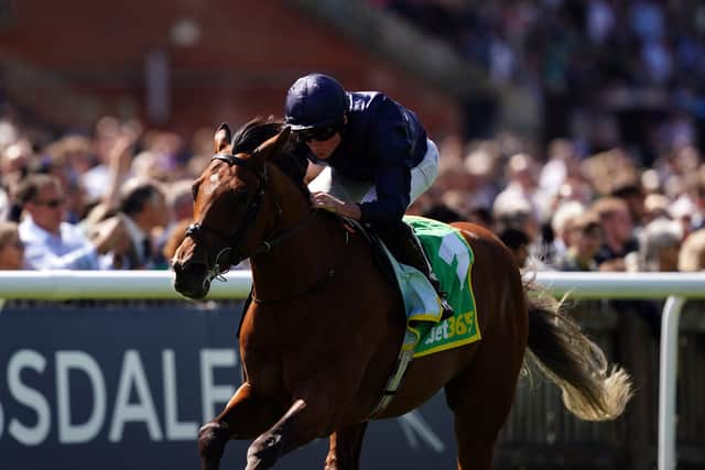 Considering future plans, he added: “We felt with him at home he could go anywhere, but looking at today you’d like to give him another run somewhere before he goes for a big one.