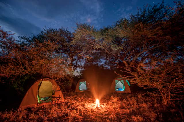 Back to basics safari in Botswana