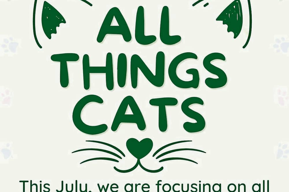 Finally, consider the use of calming pheromone sprays, or in more fearful cats you can even ask your vet about anti-anxiety medication that you can use before and during the visit.