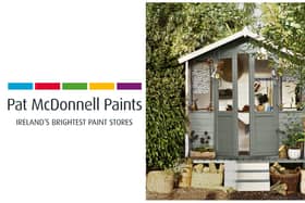 Paint Like a Pro: How to Paint a Wooden Shed
