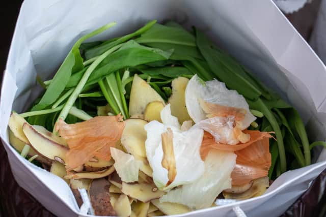 Make your own compost