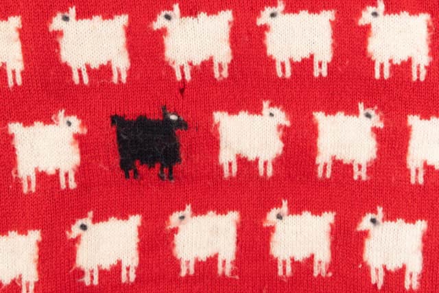 Warm & Wonderful stopped producing the black sheep style in 1994, but it was reissued in 2020 as a collaboration with the brand Rowing Blazer.
