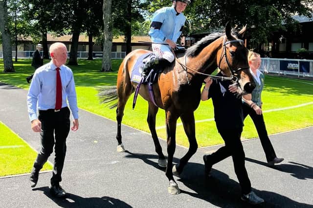 Highclere appear to have another smart filly on their hands in the shape of Truthful.