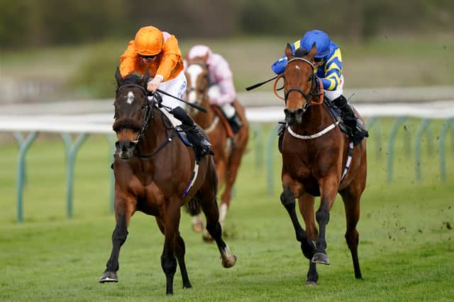 Rajinsky made a flying start to his campaign by inflicting a shock defeat on star stayer Trueshan in the Further Flight Stakes at Nottingham. He was well beaten in the Sagaro Stakes at Ascot next time, but bounced back to finish a close-up fifth in last month’s Chester Cup.