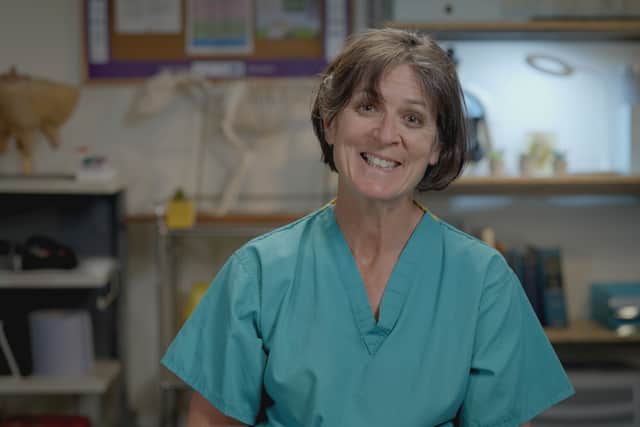 Other programmes range from the bilingual crime drama Bang to Petrol Head (Pen Petrol), about young people and their cars, to Vets (Y fets), which follows Ystwyth Vets in Aberystwyth.
