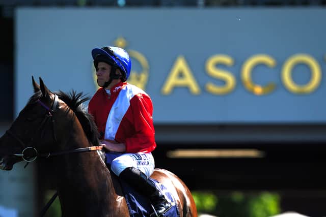 Little went right in running for Twilight Calls, who did well to finish fourth to Bradsell in the King’s Stand.