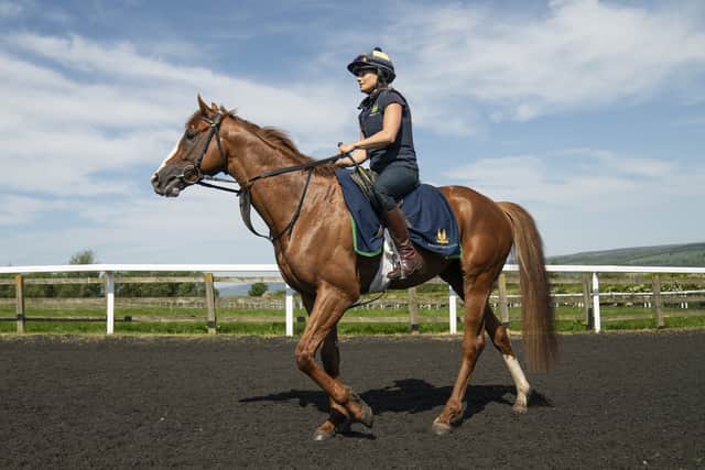 Some people say the Guineas is the best Derby trial of the lot and it probably fitted in slightly better than the Dante where he would have had a penalty.