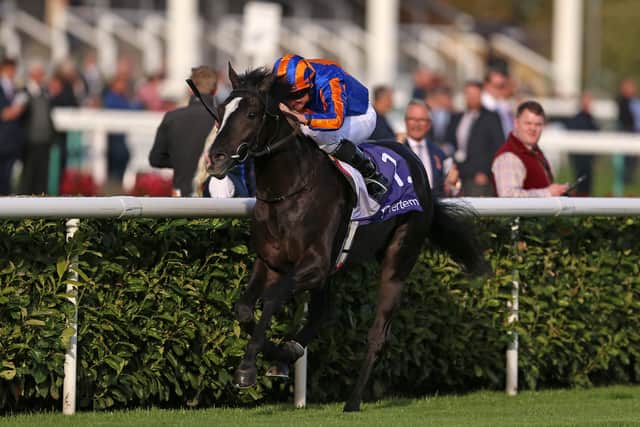 That defeat did little to dissuade O’Brien of his ability, however, and the Derby was immediately lined up as a next outing after the Guineas run was dismissed.