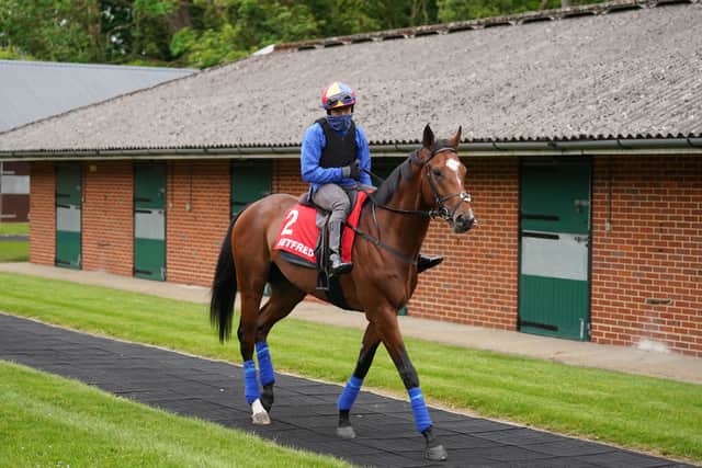 “To win the Derby you need a good horse, the draw makes no difference. Simple as that!”