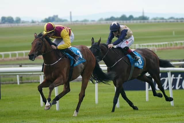 Johnny Murtagh saddled the first two home in the Listed FBD Hotels & Resorts Orby Stakes as Mashhoor (2-1 favourite) and Ben Coen held off Annerville by a length and a half.