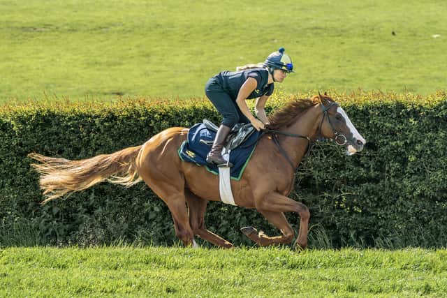 “I said if he finished in the first six and hit the line strong I’d be delighted and that is exactly what he did. He’d have been fourth in another stride which would have been lovely but knowing he wants further, we couldn’t have wished for much more.”