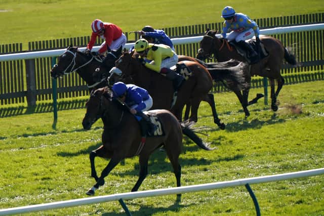 The form of that race was given a timely boost when the third scored at Beverley earlier this week and the daughter of Sea The Stars, who is out of Group One winner Lumiere, looks packed with potential ahead of this contest, better known as the Michael Seely Memorial Fillies’ Stakes.