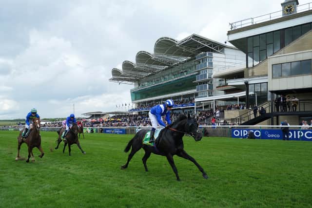 My Prospero represents William Haggas and he will be having his first run since finishing third in the Champion Stakes at Ascot in the autumn.