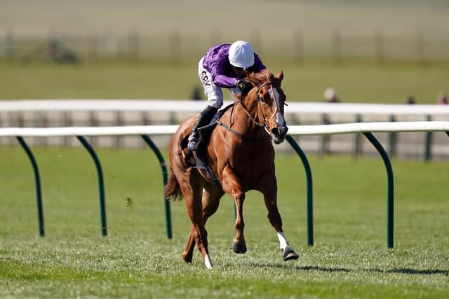 Winner of a seven-furlong novice at the same track in October, the daughter of Havana Grey landed the Group Three Nell Gwyn on her first start as a three-year-old.