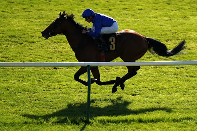 “I just loved his demeanour and the way that he galloped out. He has come out of it very well and is bred to win a Derby.”