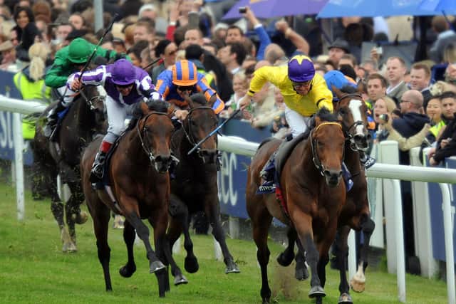 “I don’t know about the pressure of keeping an unbeaten record intact, you always need to be prepared for a horse to lose a race, it doesn’t always tarnish their record. I always felt first time out it was nice to give them a race where they learned something,” said Oxx.