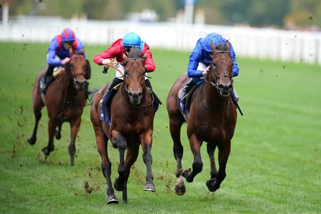 The five-year-old raced with plenty of exuberance for much of the 10-furlong contest before being delivered with his challenge in the straight by Ryan Moore – and while he ultimately came up a little short, connections were justifiably encouraged by his performance.