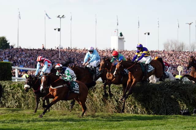 “He was very tired after the race, but he is fine. The same goes for Carefully Selected. Capodanno pulled up after getting very tired, it was probably just the lack of a run.