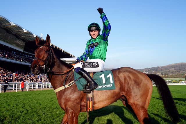 Nicholls looks set to run Cheltenham Gold Cup runner-up Bravemansgame, while Henderson has stated his intention to step Shishkin up to three miles for the first time under rules.